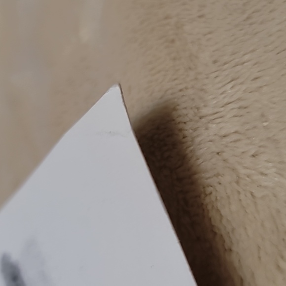 Print - St. Paul's Cathedral in England (Black & White Line - Picture 3 of 5